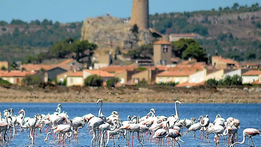 La Mouette Qui Miaule Apartment Груисан Екстериор снимка